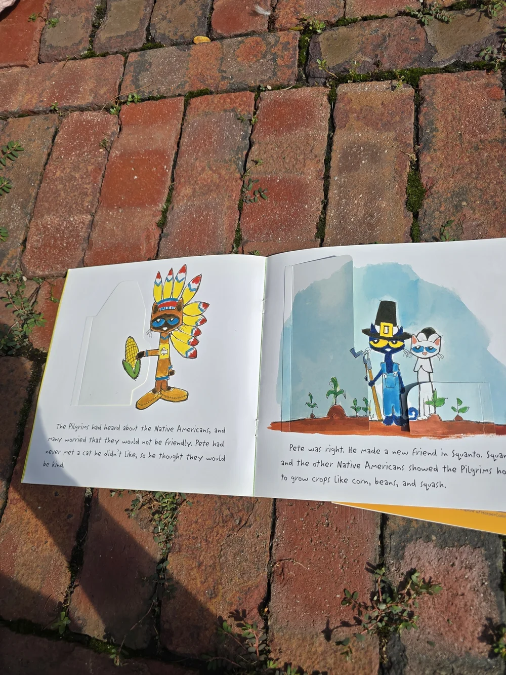 Pete the Cat Kids Book Set Learn To Read Lift The Flap Sticker Books Rhyme